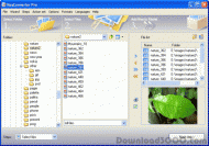 ReaConverter Pro - advanced image converter screenshot